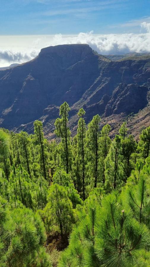 Apartmán Casa Doris San Sebastián de la Gomera Exteriér fotografie